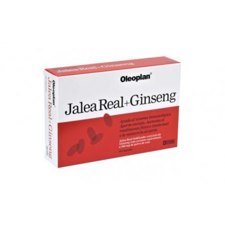 Comprar oleoplan jalea real ginseng 30cap.