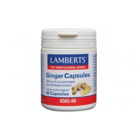 Comprar ginger 12000mg. jengibre 60cap.