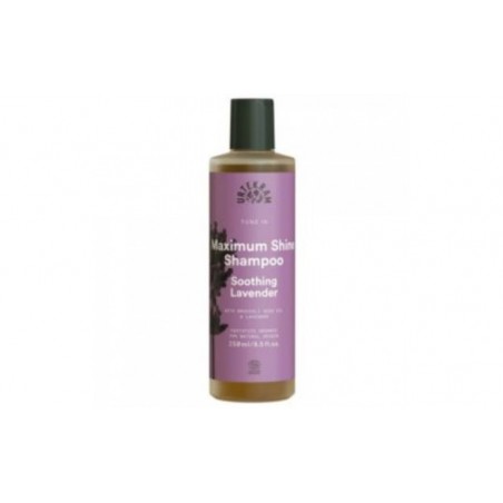 Comprar champu soothing lavender lavanda 250ml. al mejor precio en Pharmazon, tu farmacia online Comprar champu soothing lavender lavanda 250ml.