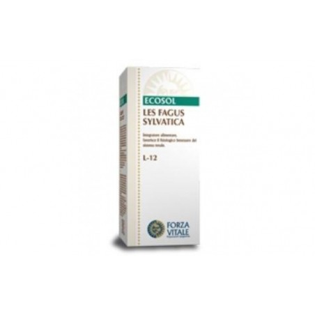 Comprar les fagus sylvatica haya 50ml. al mejor precio en Pharmazon, tu farmacia online Comprar les fagus sylvatica haya 50ml.