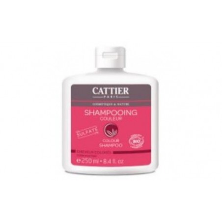 Comprar champu color cabello teñido 250ml.