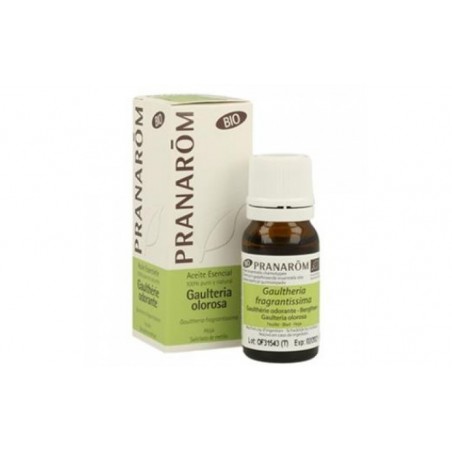 Comprar gaulteria olorosa hoja aceite esencial bio 10ml.