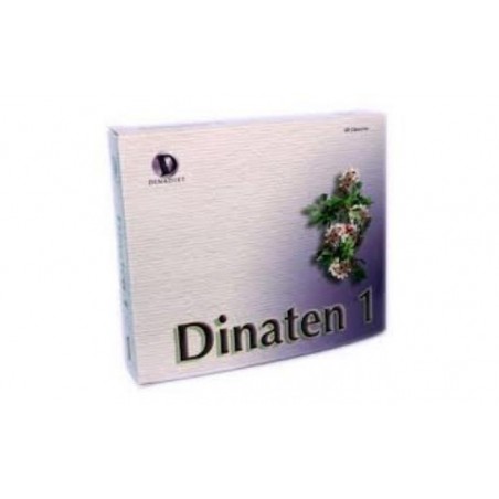 Comprar dinaten 1 60cap.