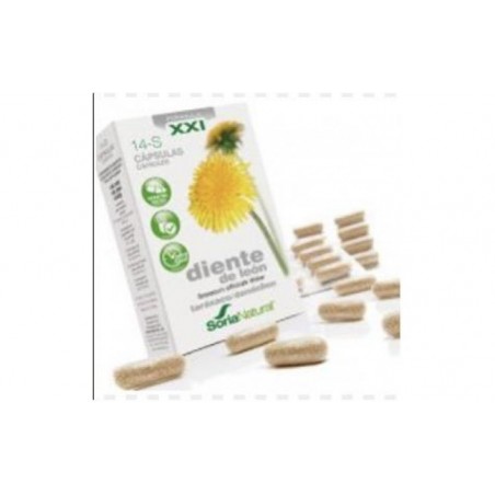 Comprar cap.s 14 diente leon xxi 30cap. al mejor precio en Pharmazon, tu farmacia online Comprar cap.s 14 diente leon xxi 30cap.