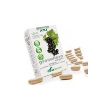 Comprar cap.s 23 grosellero negro xxi 30cap. al mejor precio en Pharmazon, tu farmacia online Comprar cap.s 23 grosellero negro xxi 30cap.