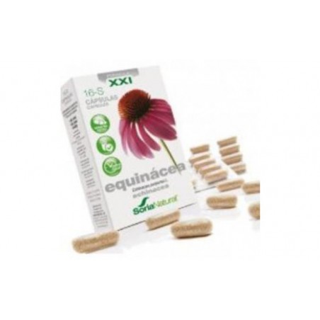 Comprar cap.s 16 echinacea xxi 30cap. al mejor precio en Pharmazon, tu farmacia online Comprar cap.s 16 echinacea xxi 30cap.