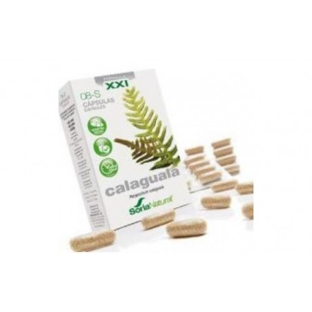 Comprar cap.s 08 calaguala xxi 30cap. al mejor precio en Pharmazon, tu farmacia online Comprar cap.s 08 calaguala xxi 30cap.