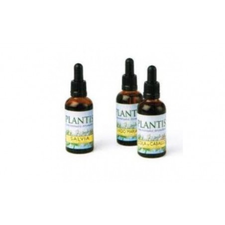 Comprar ext.salvia 50ml maese herbario al mejor precio en Pharmazon, tu farmacia online Comprar ext.salvia 50ml maese herbario