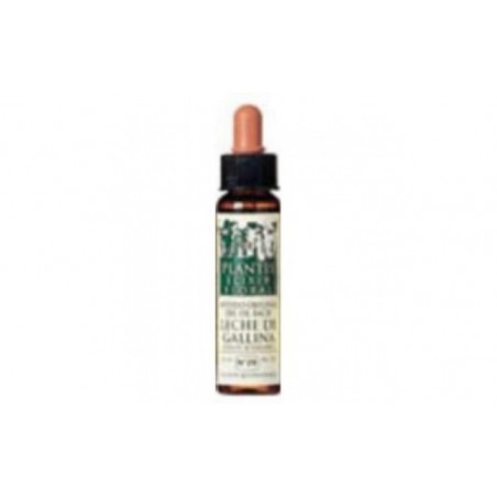 Comprar walnut plantis nº 33 10ml. al mejor precio en Pharmazon, tu farmacia online Comprar walnut plantis nº 33 10ml.