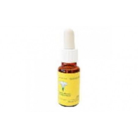 Comprar red chestnut e.f.mediterraneo 20 ml. al mejor precio en Pharmazon, tu farmacia online Comprar red chestnut e.f.mediterraneo 20 ml.