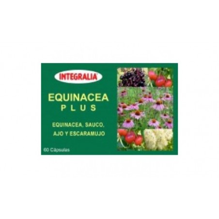 Comprar echinacea plus 60 caps. al mejor precio en Pharmazon, tu farmacia online Comprar echinacea plus 60 caps.