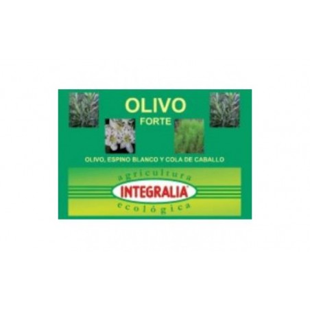 Comprar olivo forte eco 60cap. al mejor precio en Pharmazon, tu farmacia online Comprar olivo forte eco 60cap.