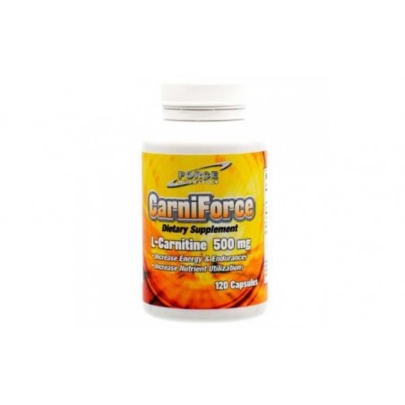 Comprar l-carnitina 500mg. 120comp.