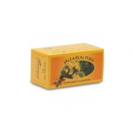 Comprar jalea real fresca 20gr. (refrigeracion) al mejor precio en Pharmazon, tu farmacia online Comprar jalea real fresca 20gr. (refrigeracion)