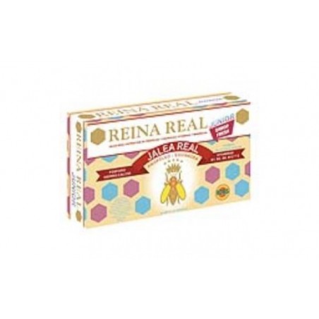 Comprar reina real junior 20amp.