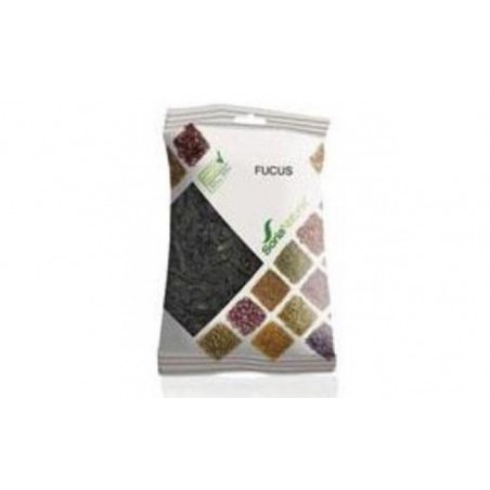 Comprar fucus bolsa 75gr. al mejor precio en Pharmazon, tu farmacia online Comprar fucus bolsa 75gr.