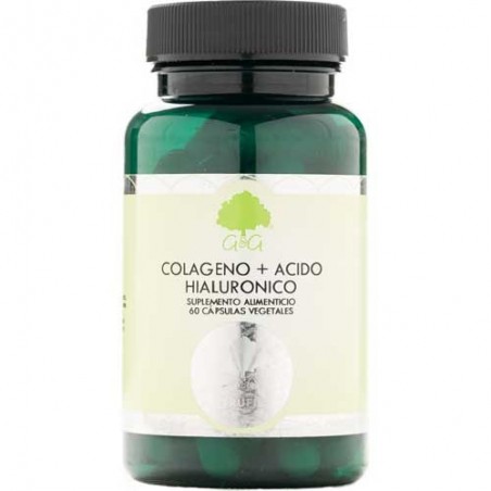 Comprar Naturvent Colágeno + Ácido Hialurónico + Vitamina C 60 Cápsulas al mejor precio en Pharmazon, tu farmacia online Comprar Naturvent Colágeno + Ácido Hialurónico + Vitamina C 60 Cápsulas